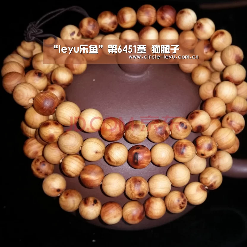 “leyu乐鱼”第6451章 狗腿子(图2) leyu乐鱼