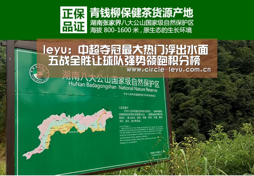 leyu:中超夺冠最大热门浮出水面 五战全胜让球队强势领跑积分榜(图1) leyu乐鱼